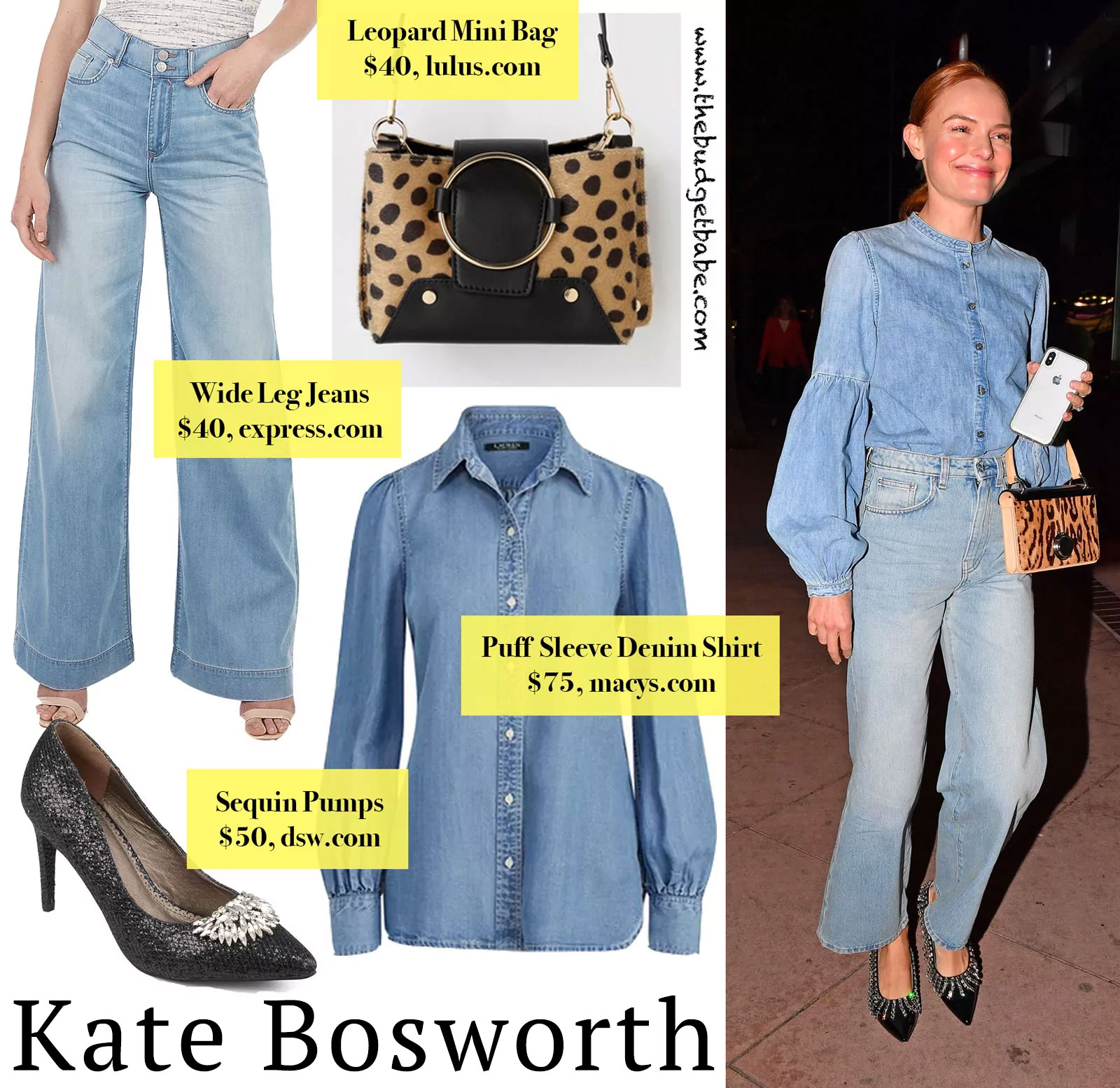 Kate Bosworth Denim and Leopard Look for Less