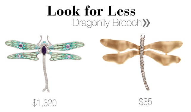 Dragonfly Brooch Look for Less
