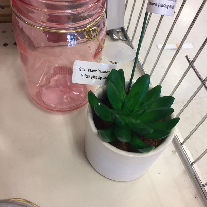 Spring has sprung in the Target dollar bins.