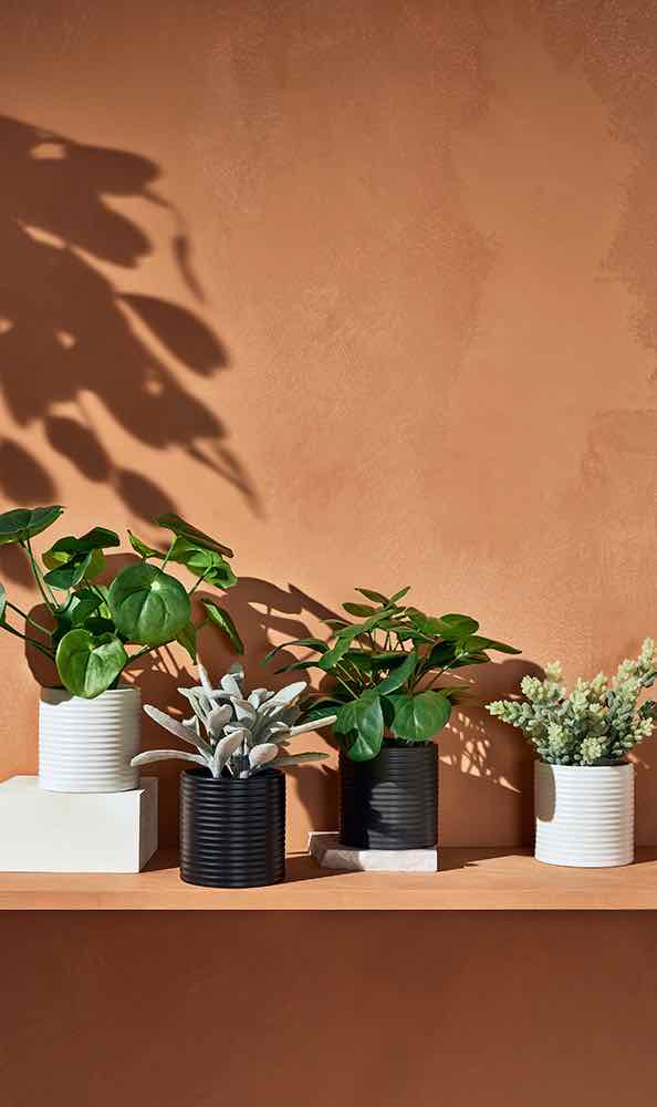 Hilton Carter for Target | First of its kind collaboration featuring faux and real plants and gardening accessories