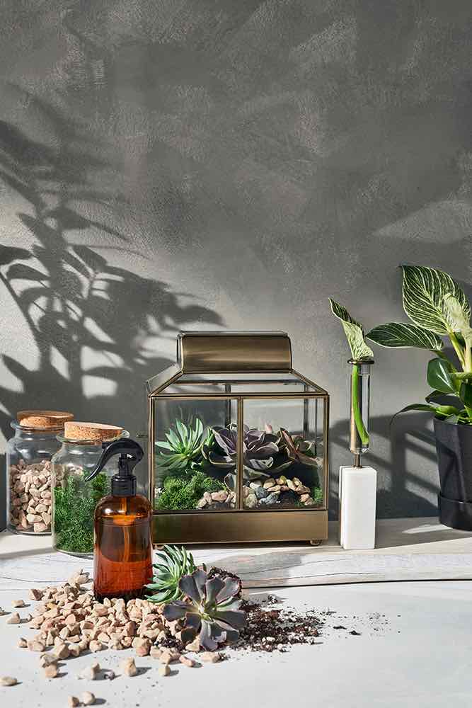 Hilton Carter for Target | First of its kind collaboration featuring faux and real plants and gardening accessories