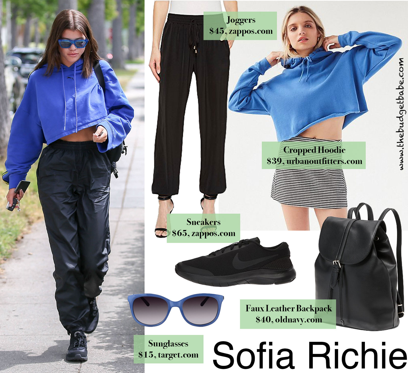 Sofia Richie Cropped Hoodie Look for Less
